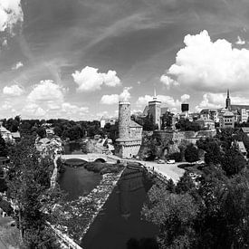 Bautzen - Panorama Old Town (black and white) by Frank Herrmann