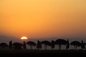 Toscane, 2008 von Arno Fooy