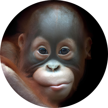 Orang-oetan jong van Jacco Hinke