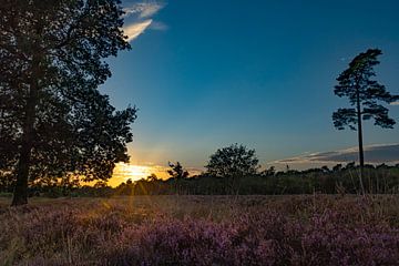 Heideveld met zonsondergang, Drenthe van Gert Hilbink