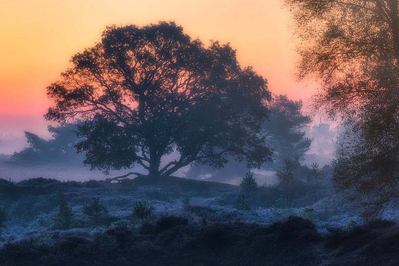 Dawn on the Aekinger sand by Ton Drijfhamer