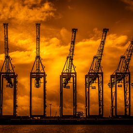 Danse des girafes du port sur Sabine Wagner