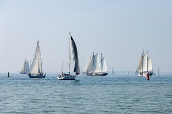 Terschelling, Wattenmeer