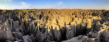 Tsingy panorama Madagaskar von Dennis van de Water