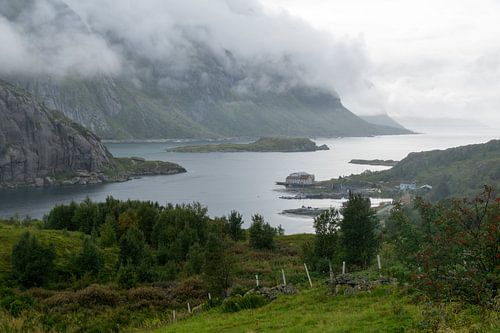 Fjord avec brume