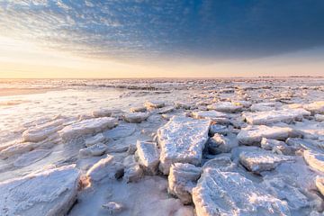 The frozen mudflats by Ton Drijfhamer