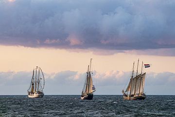 Zeilschepen op de Oostzee tijdens de Hanse Sail in Rostock van Rico Ködder