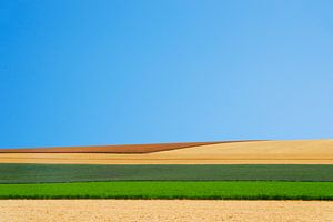 Paysage Culturel #8
