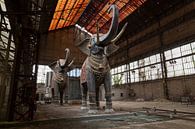 verlaten Circus olifanten van Kristof Ven thumbnail