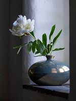 Peony in Mobach vase