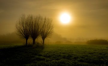 Mistige ochtend in Noord Holland van Mike Bot PhotographS