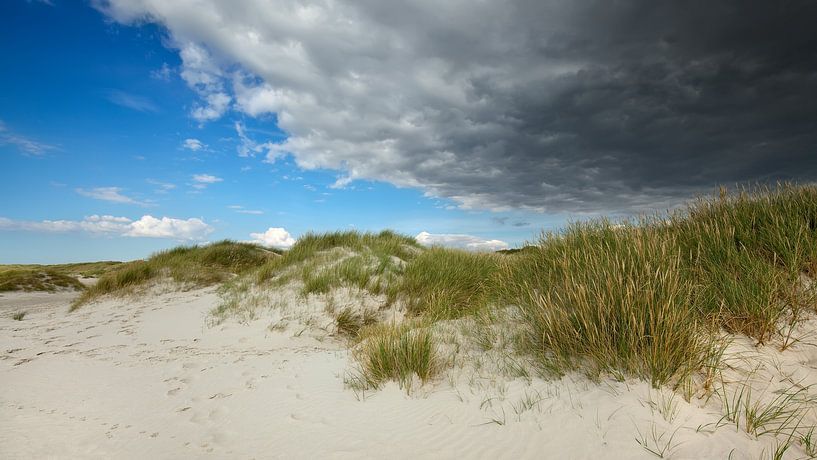 Beach by Bo Valentino