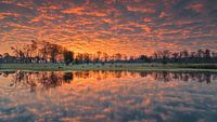 Zonsopkomst in de Klotterpeel