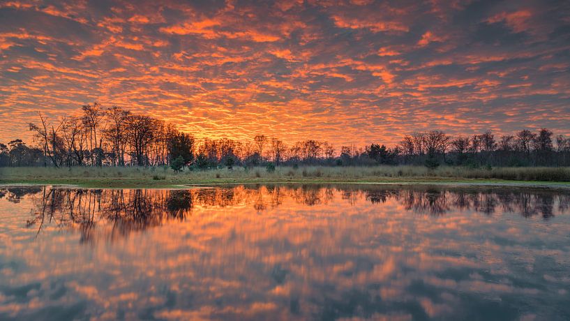 Zonsopkomst in de Klotterpeel van Harold van den Hurk