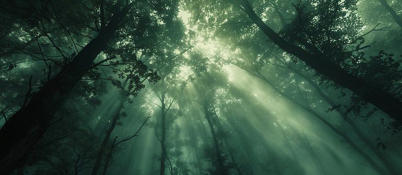 Bosgeheim in het licht van fernlichtsicht