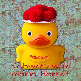 BolleStriezi - Schwarzwald meine Heimat 2.0 von Ingo Laue