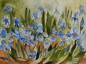 Blauwe Irissen van Rita Tielemans Kunst thumbnail