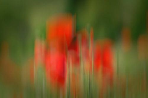 rechtop in de wind sur Yvonne Blokland