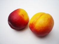 Delicious nectarine fruit