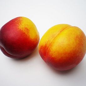 Delicious nectarine fruit by Heidemarie Andrea Sattler