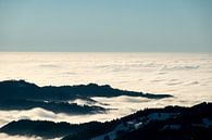 Mystical Black Forest with high fog in the Rhine Valley by Andreas Nägeli thumbnail