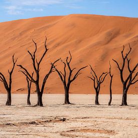 Tote Bäume in einer Wüstenlandschaft von But First Framing