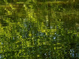 Groene zones van Roger Trelou