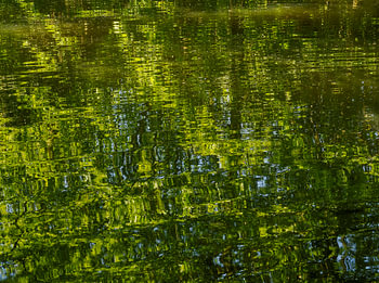 Green spaces