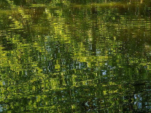 Green spaces