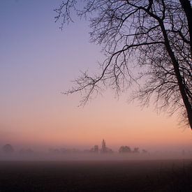 Paarse dageraad met boom van Steven Langewouters