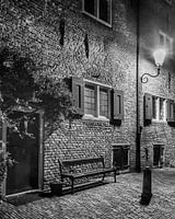 Hometown Nocturnal # 8