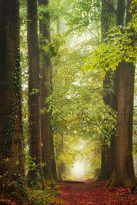 Waterverf van de Natuur van Inge Bovens