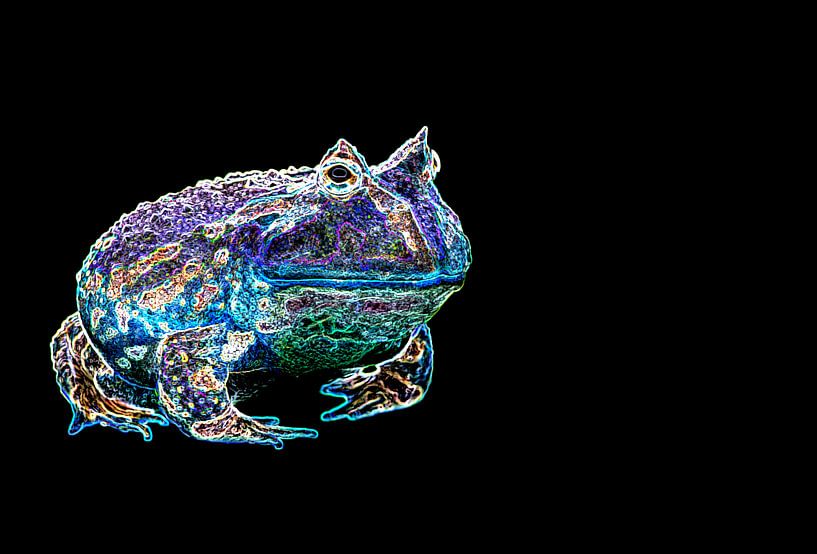 Frog Fantasy Purple van Roderick van de Berg