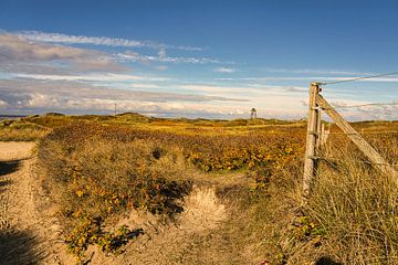 Blåvand dunes landscape in Denmark at the North Sea by Martin Köbsch