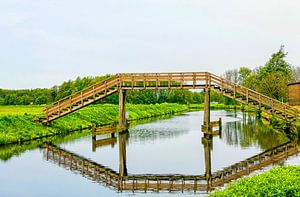Hoogholtje in Groningen