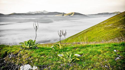 Ochtentmist bij Castelluccio, Italië.