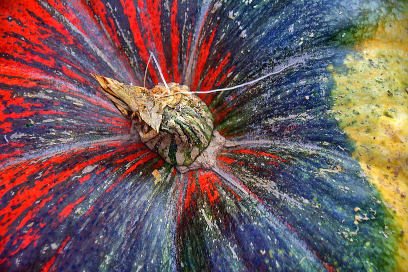 pompoenhandvat van Edgar Schermaul