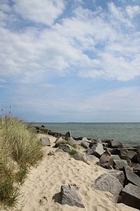 Kustbescherming