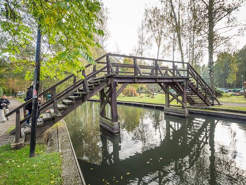 Paysage dans le Spreewald sur la rivière
