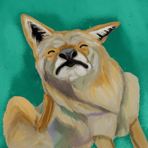 Fleas are killing me