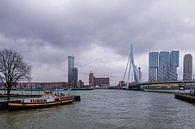 Views of Erasmus Bridge and Katendrecht by Roland Vaandrager thumbnail