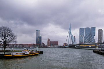Uitzicht op Erasmusbrug en Katendrecht van Roland Vaandrager