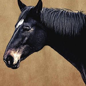 Porträt eines schwarzen Pferdes auf braunem Hintergrund (Kunst)