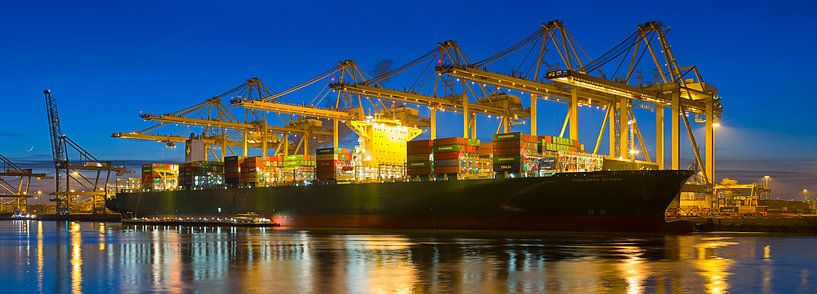 Panorama containerschip haven Rotterdam van Anton de Zeeuw