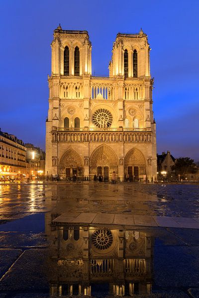 Notre-Dame regenachtige avond reflectie van Dennis van de Water