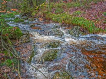 Rivière qui coule au milieu d'une nature verdoyante