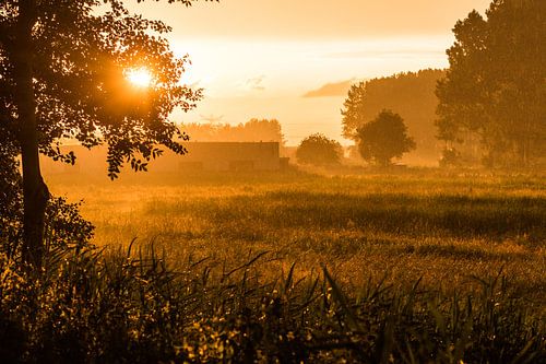 Regnerischer Sonnenuntergang