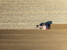 Tractor cultivating the soil during springtime seen from above by Sjoerd van der Wal Photography