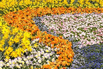 Kleurrijk bloembed van ManfredFotos