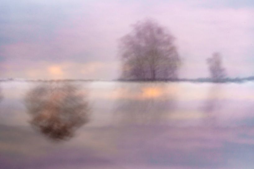 Violettes Heidekraut von Pauline Weder, wederfotografie